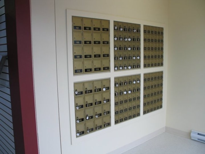 Pak Mail Langley | 13-19889 96 Ave, Langley City, BC V1M 3C7, Canada | Phone: (778) 298-7790