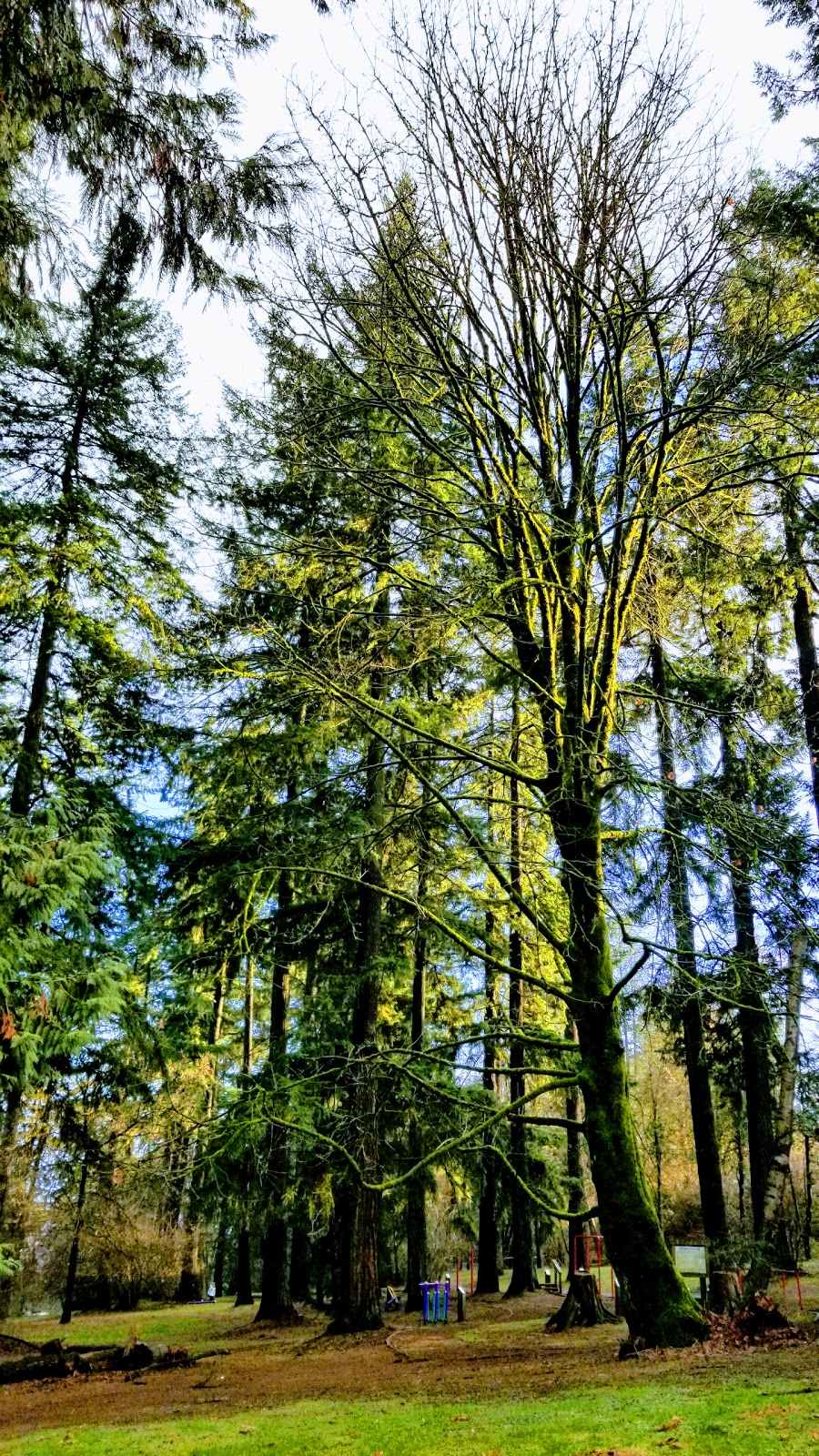 Queens Park | 3rd Ave, New Westminster, BC V3M 1V2, Canada | Phone: (604) 777-5111