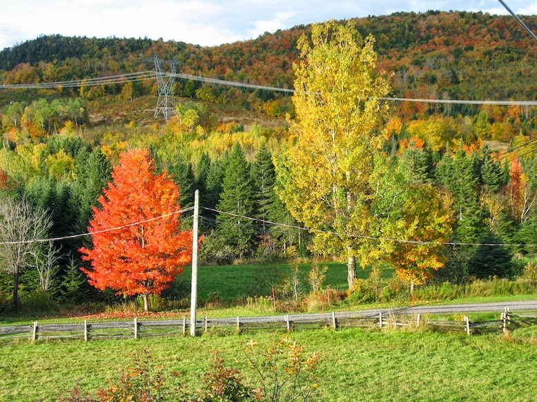Ferme St-Adolphe | 2032 Chemin St Edmond, Stoneham-et-Tewkesbury, QC G3C 1G9, Canada | Phone: (418) 848-2879