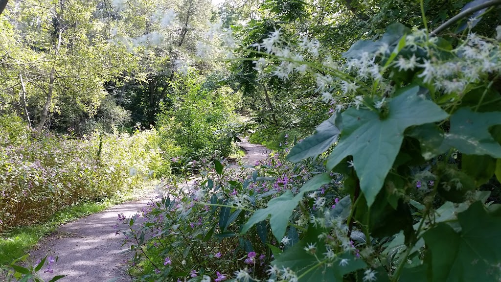 Lions Trail | 13 Hart Ct, Newcastle, ON L1B 1E5, Canada