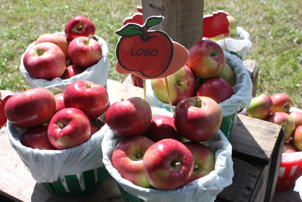 Verger du Moulin | 480 Chemin du Moulin, Rougemont, QC J0L 1M0, Canada | Phone: (450) 947-1072