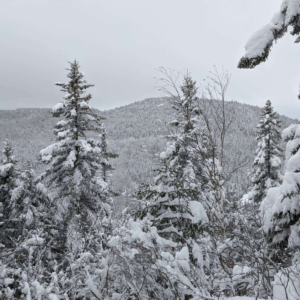 Mont La Réserve | 56 Chemin du Mont la Réserve, Saint-Donat-de-Montcalm, QC J0T 2C0, Canada | Phone: (819) 424-1373