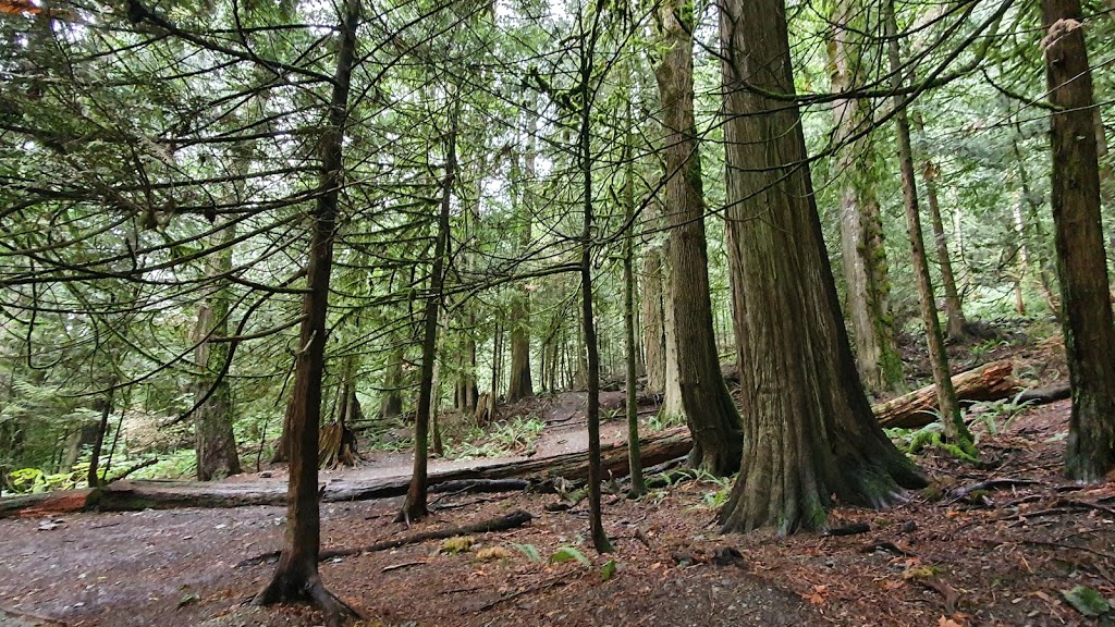 Bridal Veil Falls Provincial Park | Rosedale, BC V0X 1X0, Canada | Phone: (604) 986-9371