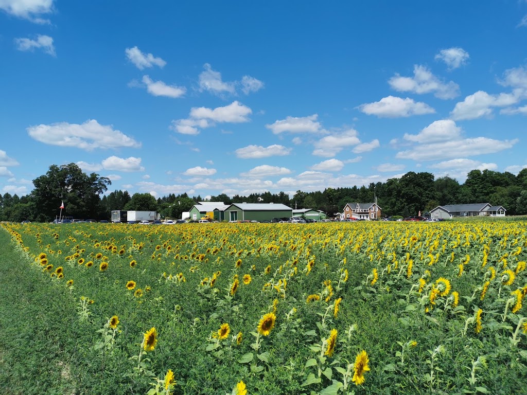 Davis Family Farm | 15770 Mountainview Rd, Caledon East, ON L7C 2V2, Canada | Phone: (905) 965-8201
