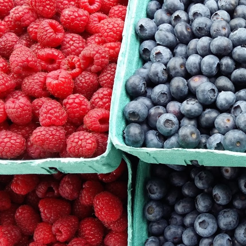 Berry Bounty Farms | 48260 Chilliwack Central Rd, Chilliwack, BC V2P 6H3, Canada | Phone: (604) 316-1350