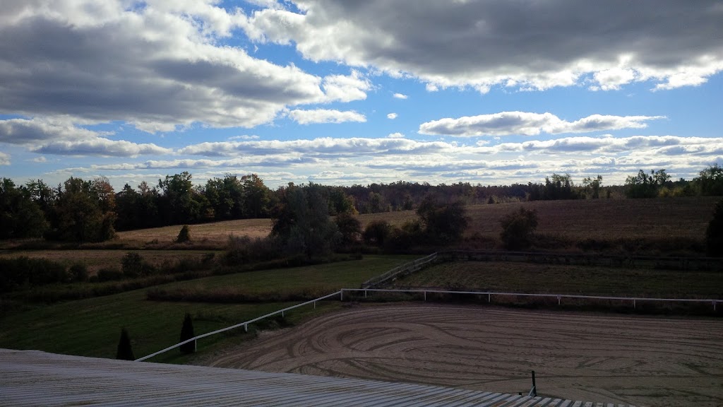 Royaleigh Acres | 9575 Side Rd 5, Erin, ON N0B 1T0, Canada | Phone: (905) 616-0513