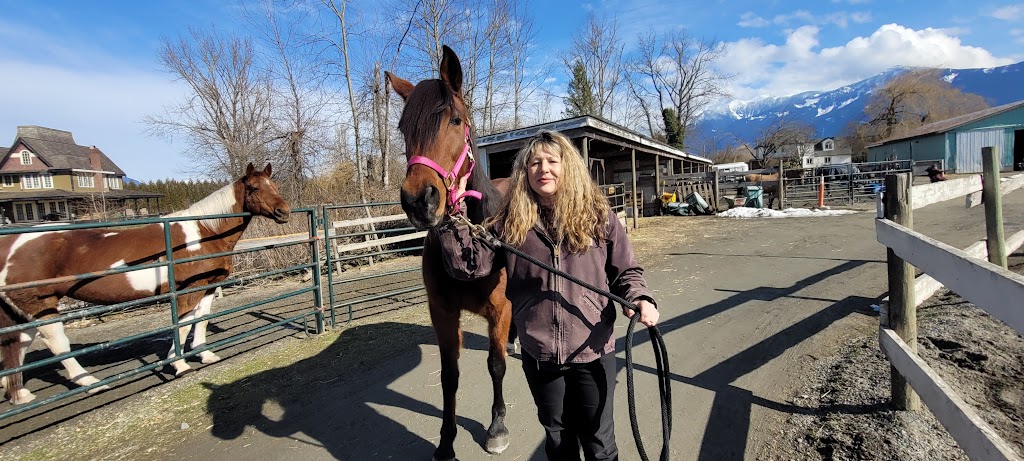 Kick Back Boarding Stables | 9943 Grigg Rd, Chilliwack, BC V2P 6H4, Canada | Phone: (604) 819-4648