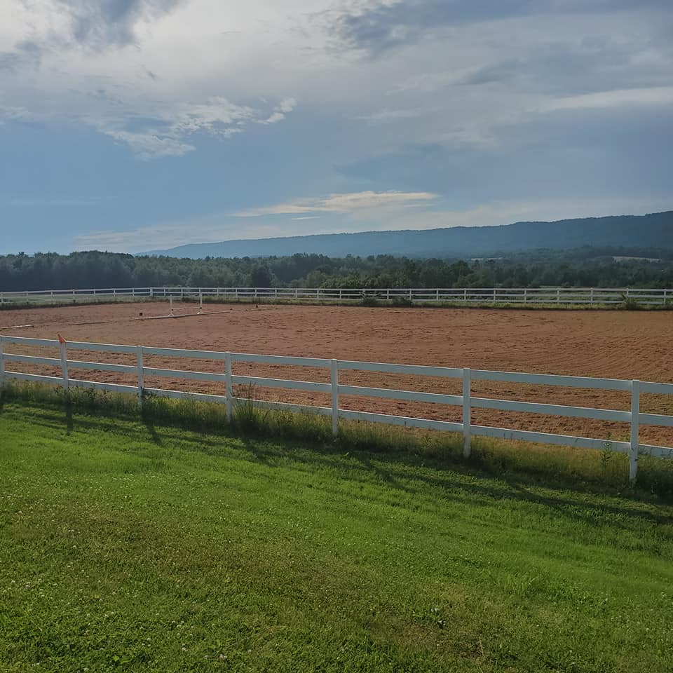 Willow & Withers Stables | 1575 Middle Dyke Rd, Centreville, NS B0P 1J0, Canada | Phone: (902) 483-4811
