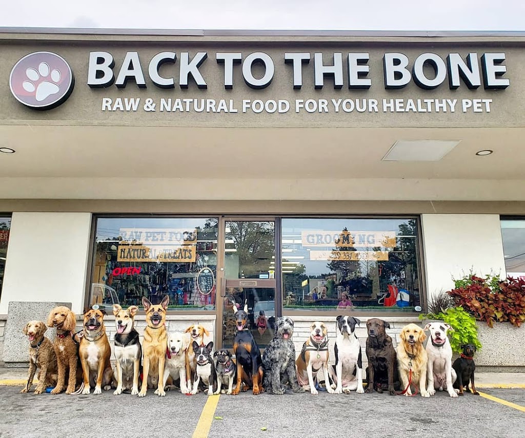 Back To The Bone Inc. | 495 Walkers Line, Burlington, ON L7N 2E3, Canada | Phone: (289) 337-4577