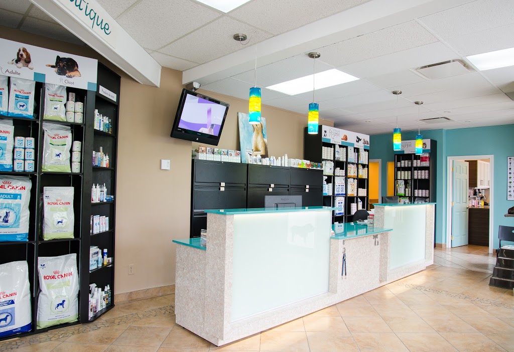 Veterinary Clinic Rosemere | 435 Chemin de la Grande-Côte, Rosemère, QC J7A 1L2, Canada | Phone: (450) 621-2700