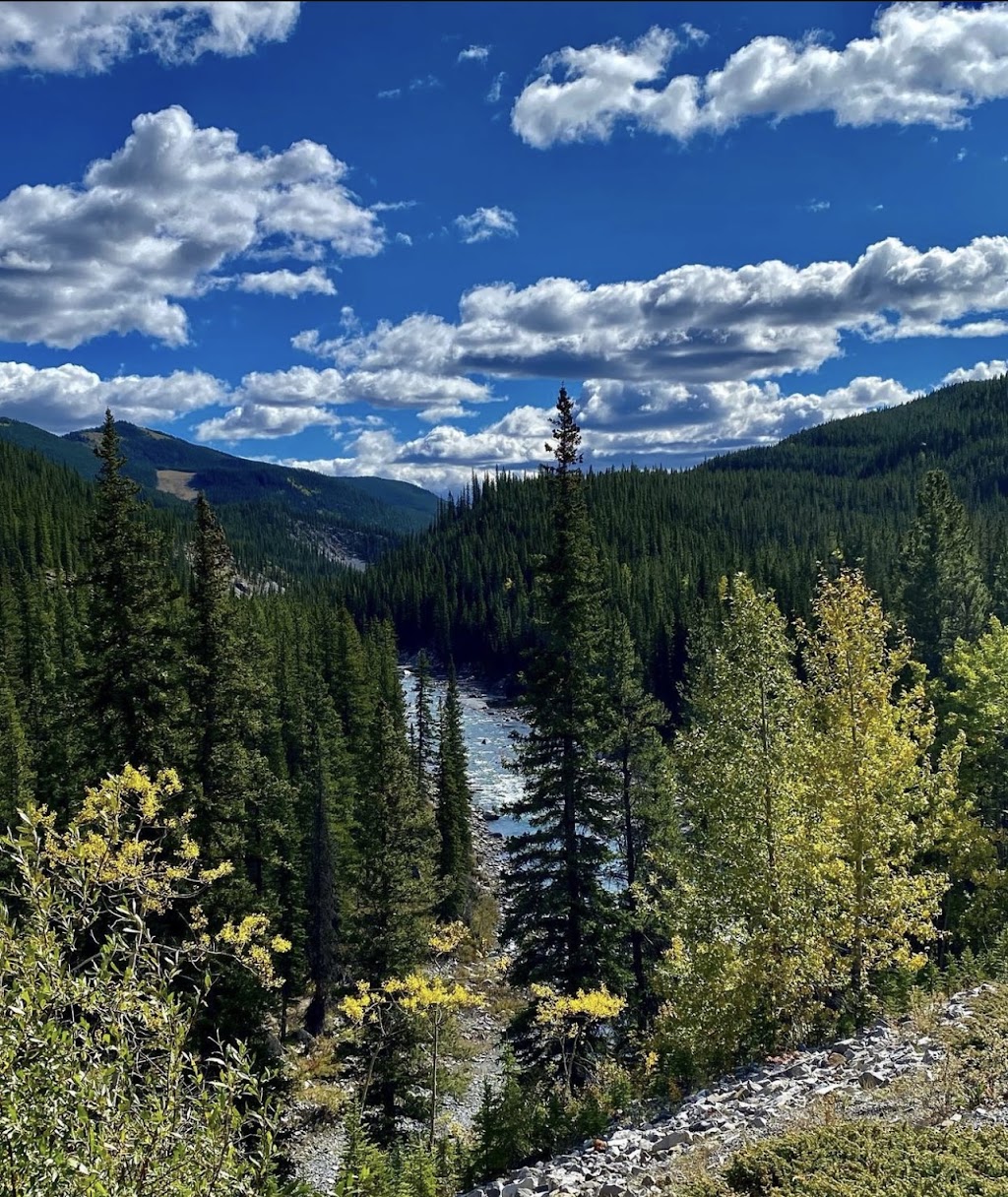 Rustic Cozy Cabin with hot tub | 34 Mountain Lion Pl, Bragg Creek, AB T0L 0K0, Canada | Phone: (403) 588-8080