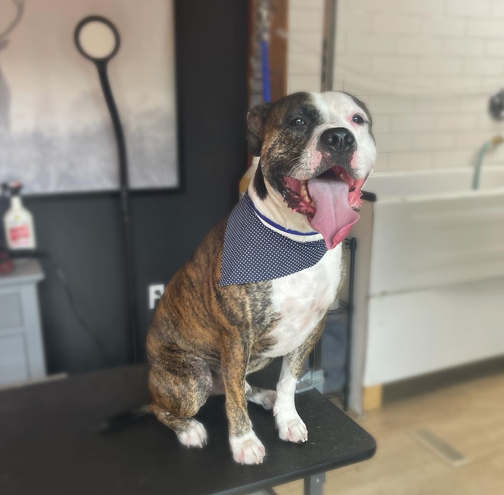 Silk & Bone Dog Grooming | 8010 Coleman St, Mission, BC V2V 6R5, Canada | Phone: (604) 908-9395