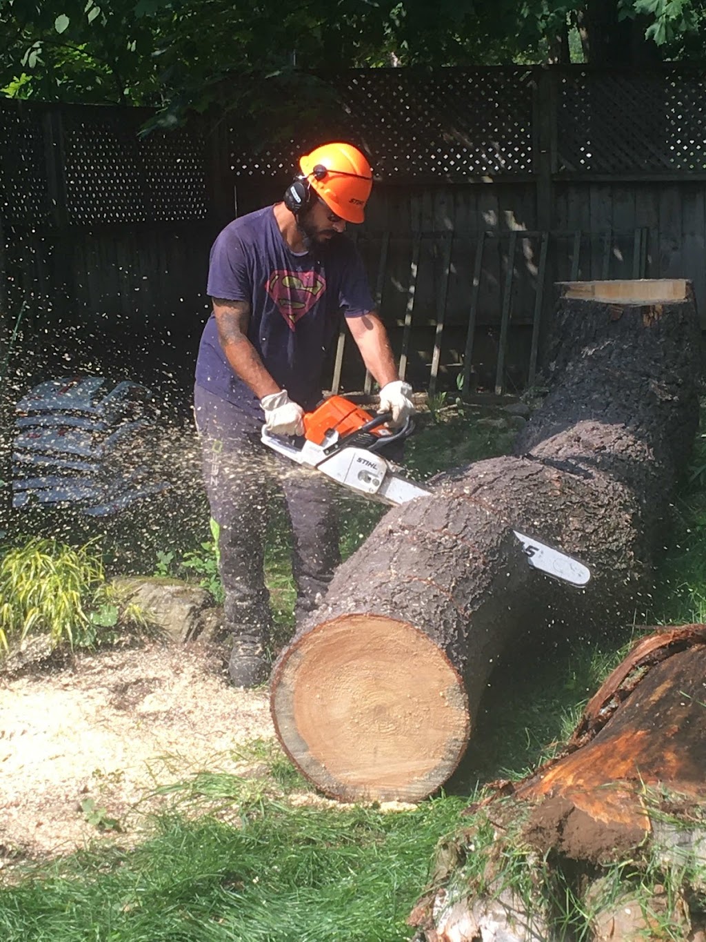 Arborist Alliance | 678 Brookside Rd, Sundridge, ON P0A 1Z0, Canada | Phone: (416) 220-7398