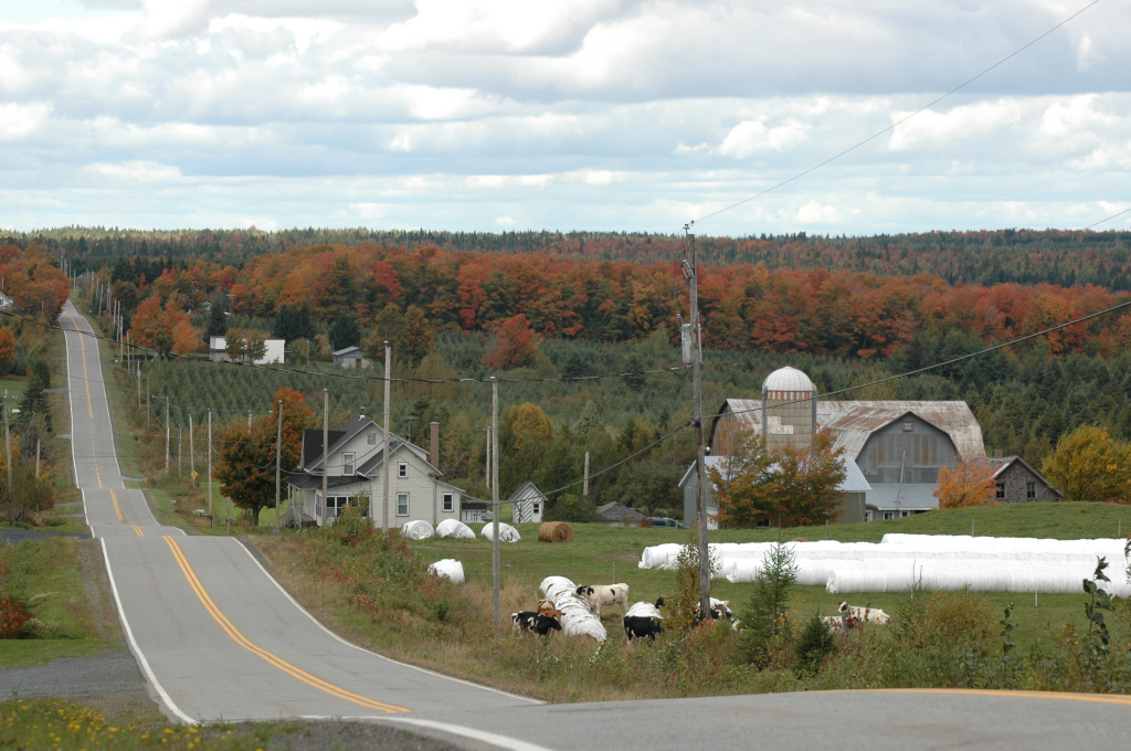 Municipalite St-Hilaire De | 847 Rue Principale, La Guadeloupe, QC G0M 1G0, Canada | Phone: (418) 459-6872
