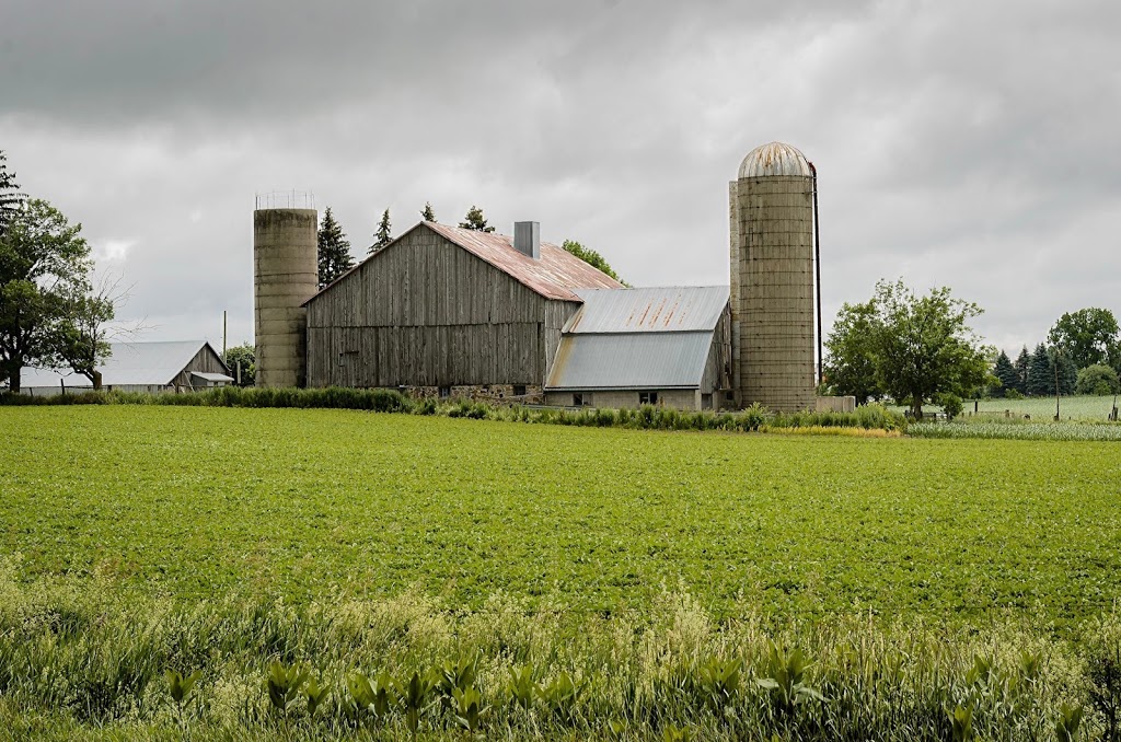 Cleason B Martin | 1346 Three Bridges Rd, St. Jacobs, ON N0B 2N0, Canada | Phone: (519) 664-2188