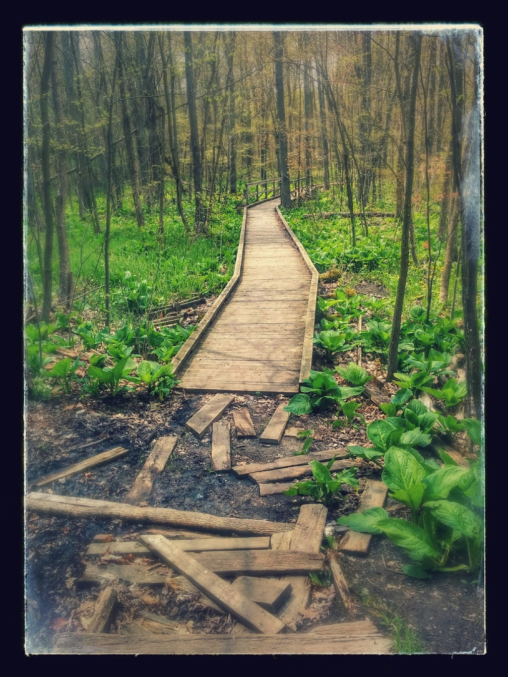 Sudden Tract | 1841 Spragues Rd, Cambridge, ON N1R 5S5, Canada
