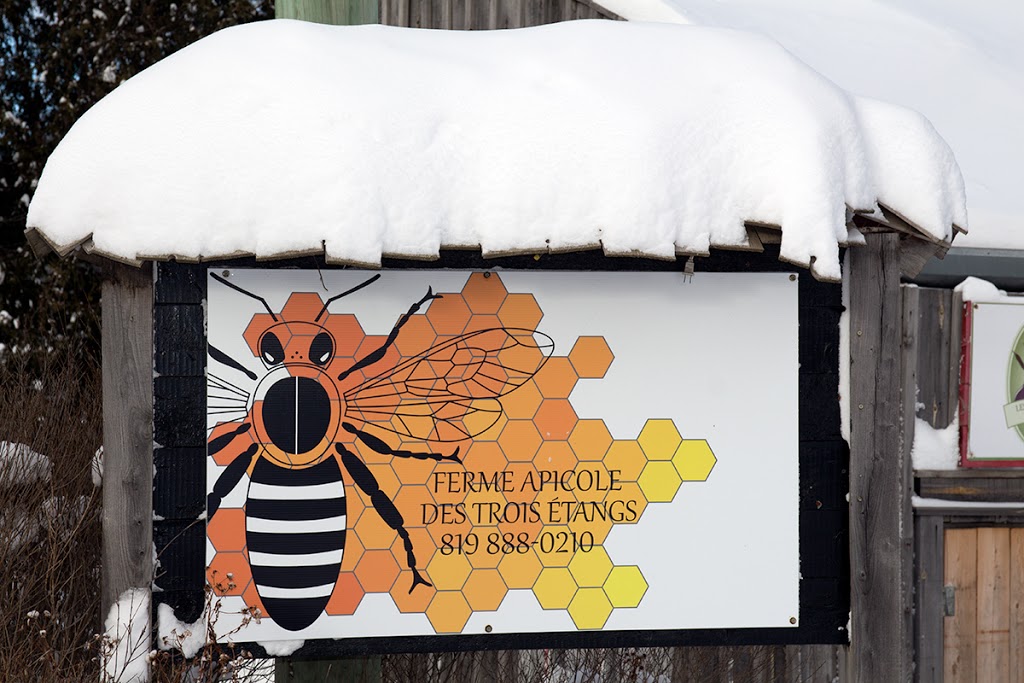 Gîte touristique Les trois étangs | 12 Chemin du Petit Québec, La Patrie, QC J0B 1Y0, Canada | Phone: (819) 888-0210