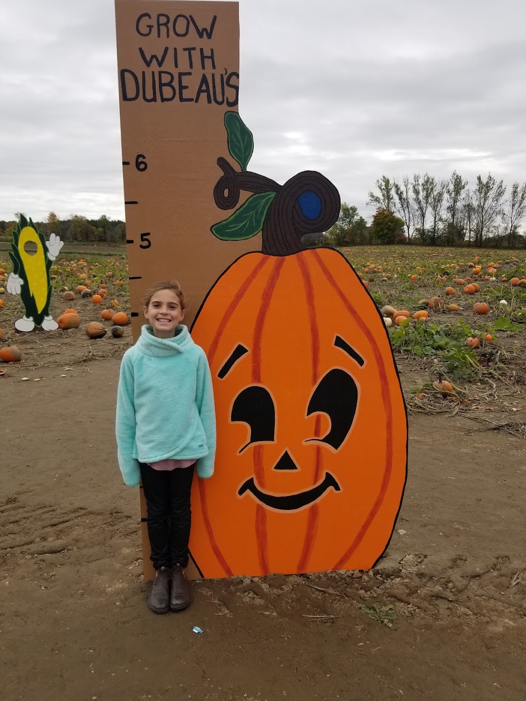 Dubeau Family Farm | 5 Concession Rd 11 E, Tiny, ON L0L 2J0, Canada | Phone: (705) 526-9970