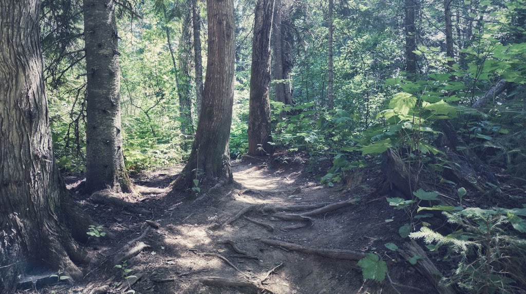 Mount Fernie Provincial Campground | 1M0, Mt Fernie Park Rd, Fernie, BC V0B 1M6, Canada | Phone: (250) 422-3003