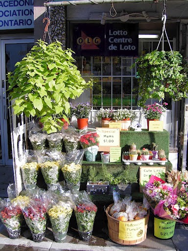 Chester Variety | 410 Danforth Ave, Toronto, ON M4K 1P3, Canada | Phone: (416) 778-6436