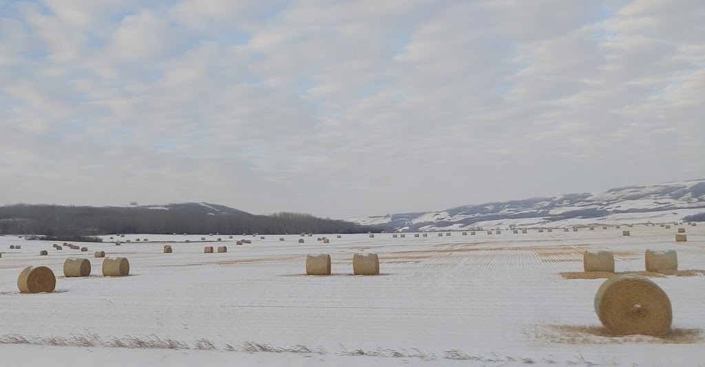 Bruce Stampede | AB-14, Bruce, AB T0B 0R0, Canada | Phone: (780) 688-3735