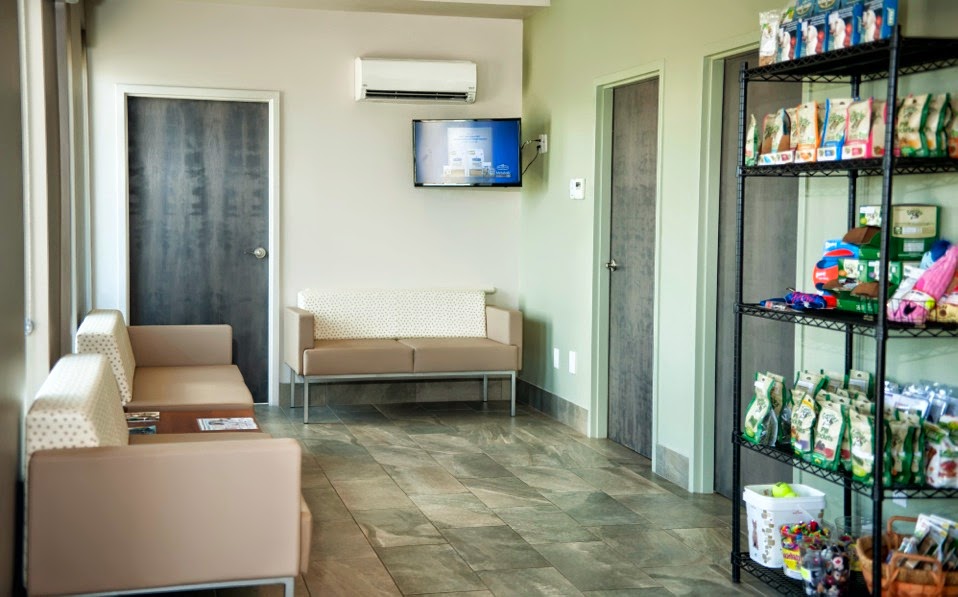 Maritime Animal Hospital (Moncton) | 1755 Main St, Moncton, NB E1E 1H2, Canada | Phone: (506) 389-2121
