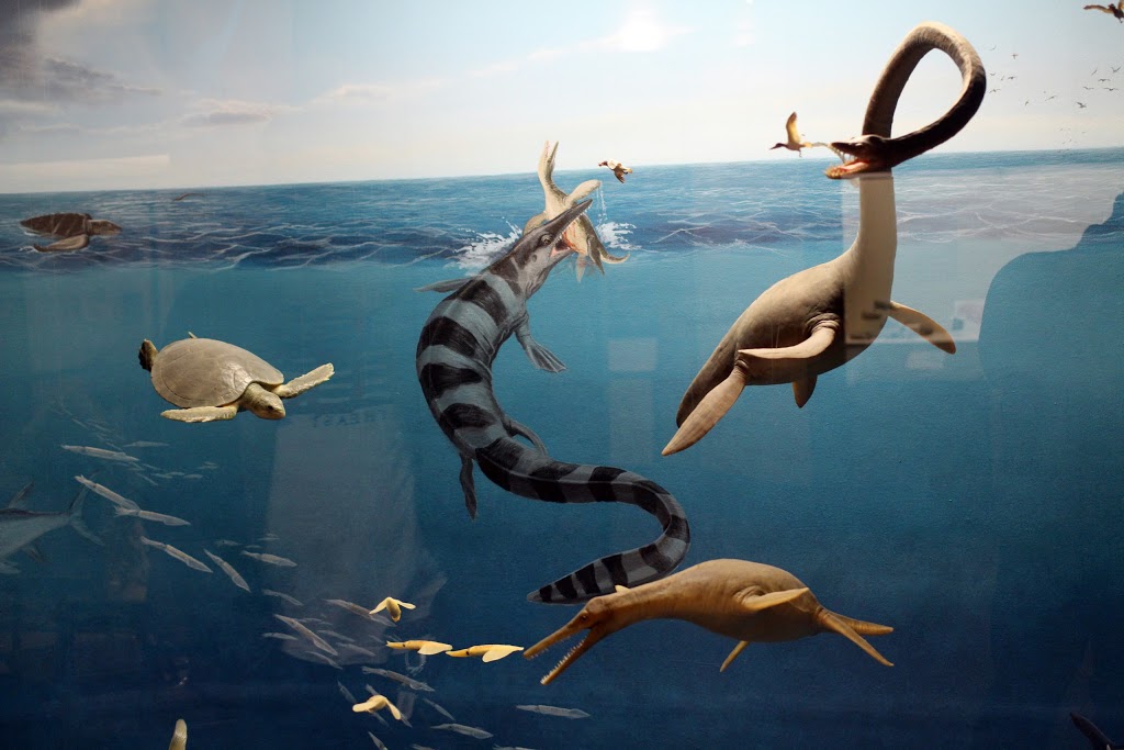 Canadian Fossil Discovery Centre | 111 Gilmour St B, Morden, MB R6M 1N9, Canada | Phone: (204) 822-3406