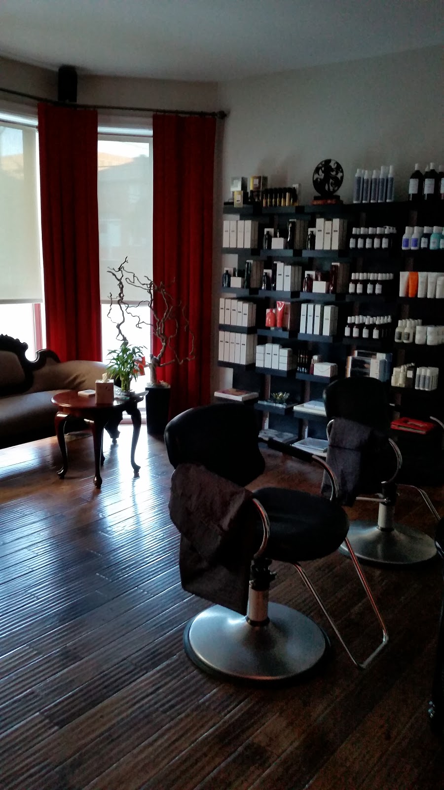 thecoolredroom Hair Space Ltd. | 224 Hunt Club Rd Suite #3, Ottawa, ON K1V 1C1, Canada | Phone: (613) 233-2665