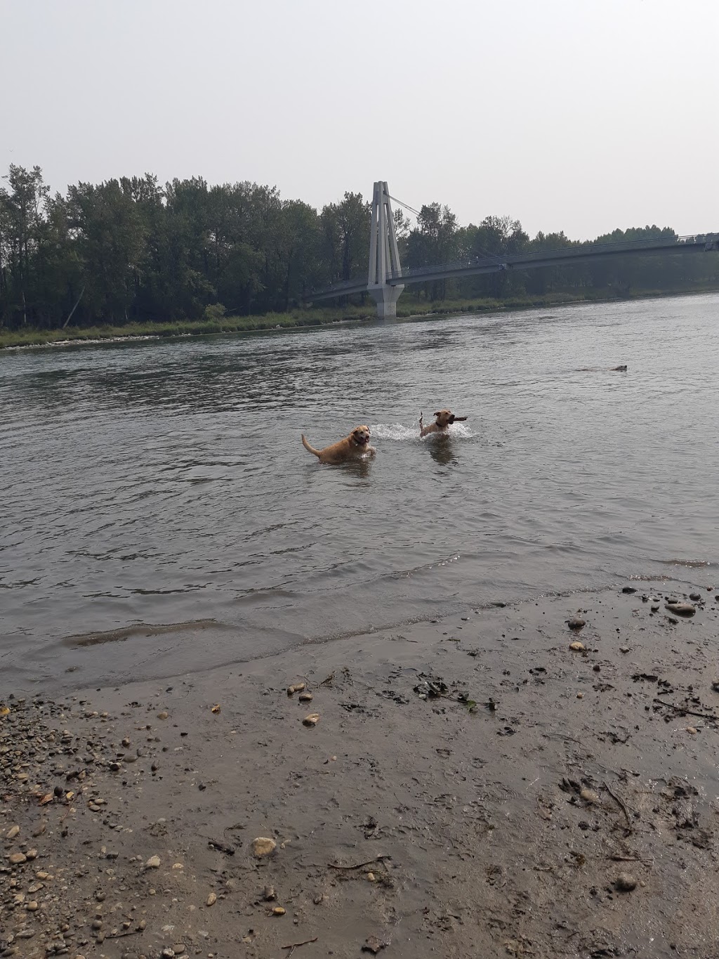 Sue Higgins Off-Leash Area | 9888 15 St SE, Calgary, AB T2J, Canada