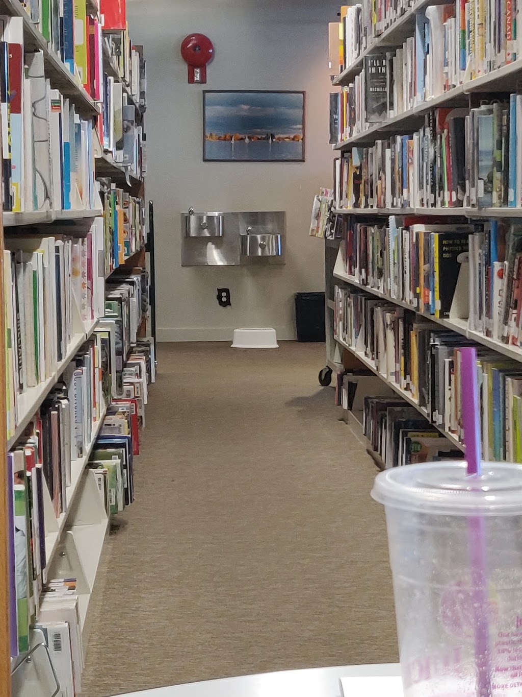 Chestermere Public Library | 105B Marina Rd, Chestermere, AB T1X 1V7, Canada | Phone: (403) 272-9025