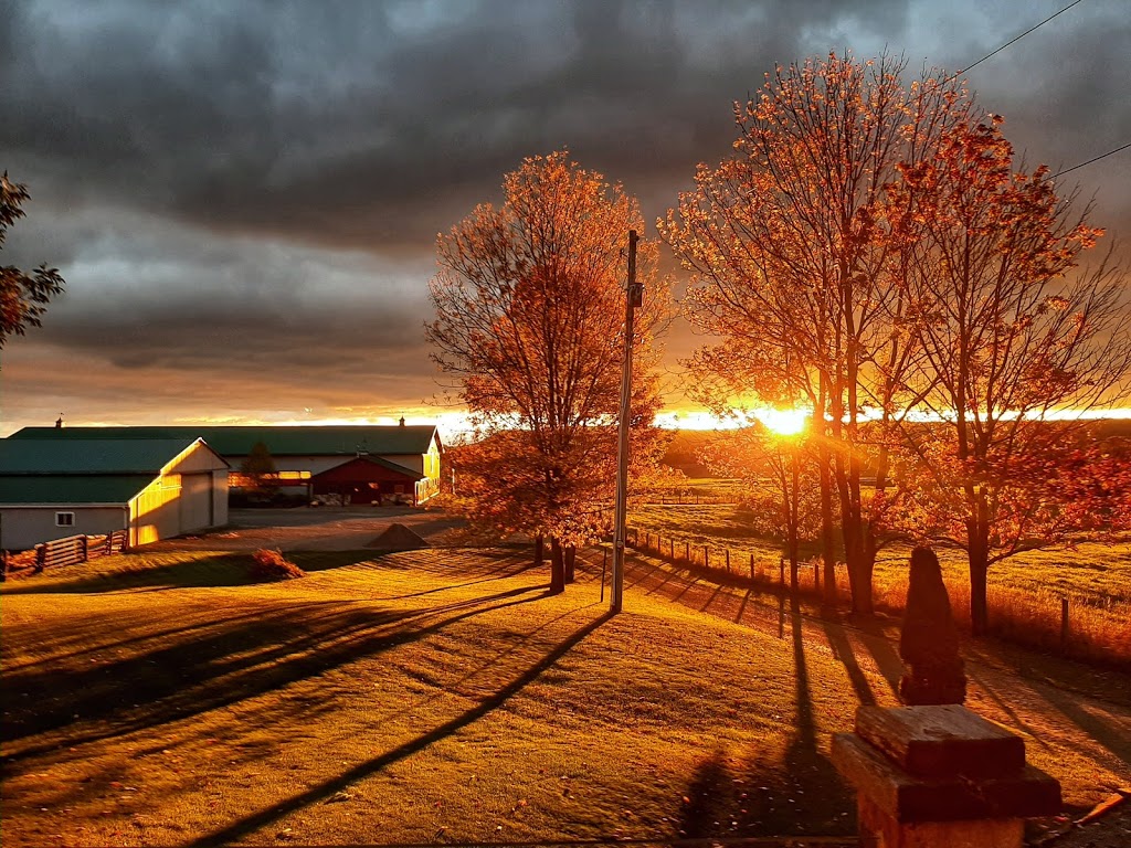 Heathcote Haven Bed & Breakfast | 356691 The Blue Mountains Euphrasia, Townline, Clarksburg, ON N0H 1J0, Canada | Phone: (519) 599-5303