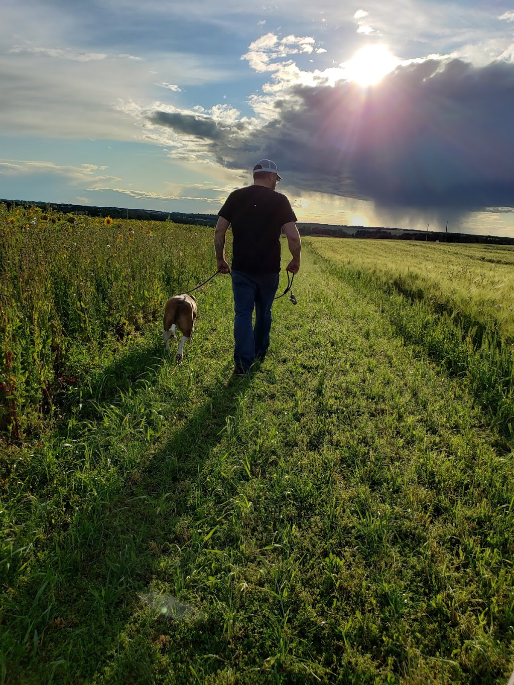 Old MacDonald Kennels | RR 235, Ponoka County, AB T4J 1R1, Canada | Phone: (403) 783-7447