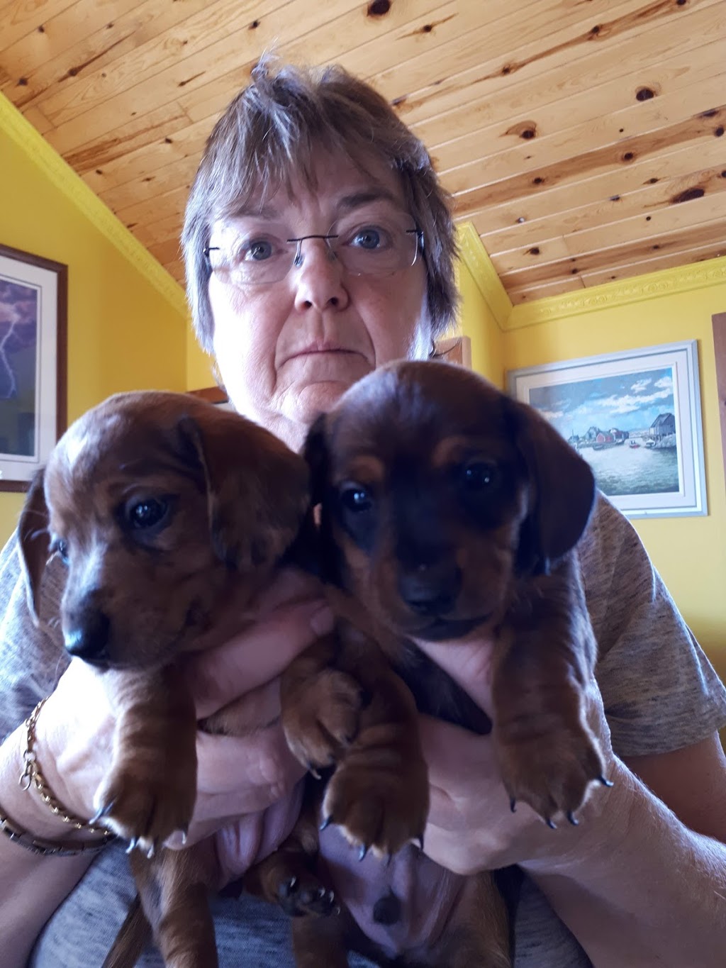 Over the Hill Farm | 1251 Crookston Rd, Madoc, ON K0K 2K0, Canada | Phone: (613) 847-0532