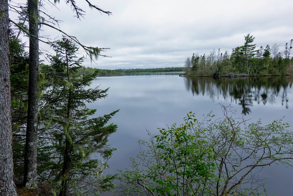 MacElmons Pond Provincial Park | 219 MacElmon Rd, Debert, NS B0M 1G0, Canada | Phone: (866) 230-1586