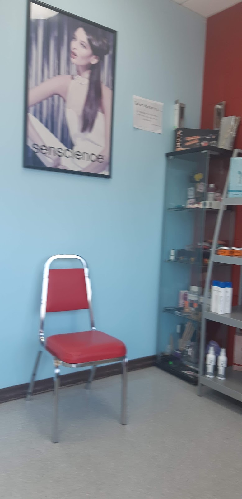 La-Viva Hair Salon & Spa | 5734 19a Ave NW, Edmonton, AB T6L 1L8, Canada | Phone: (780) 485-8797