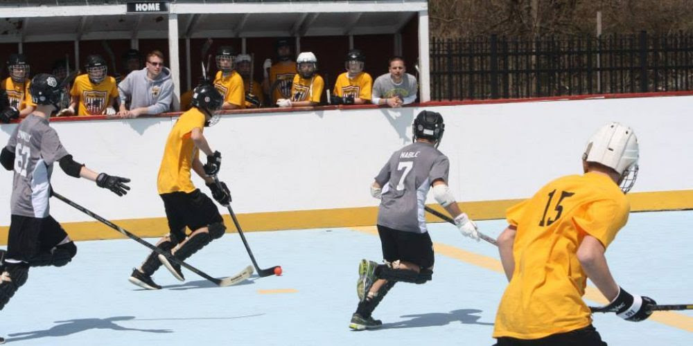 Essa Hockey | 242 Barrie St, Thornton, ON L0L 2N0, Canada | Phone: (705) 795-0232