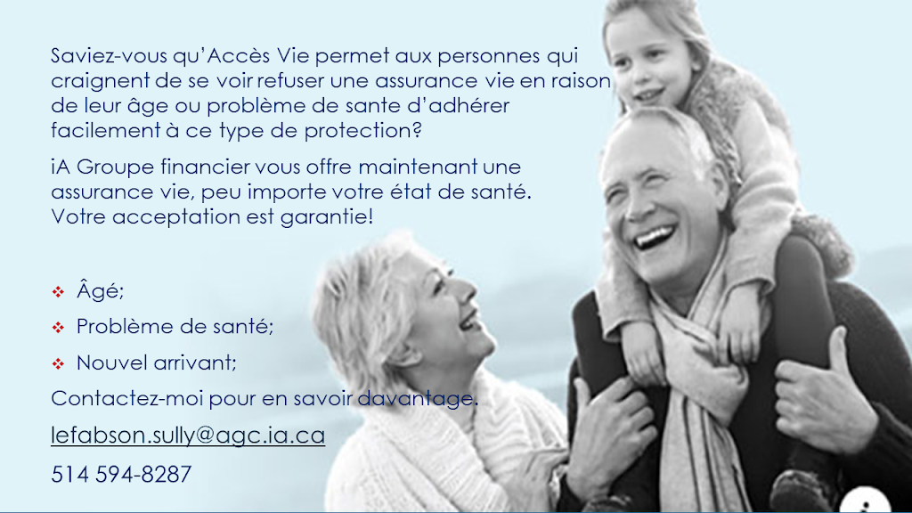 Lefabson Sully | 7171 Rue Jean-Talon E Bureau 300, Anjou, QC H1M 3N2, Canada | Phone: (514) 594-8287