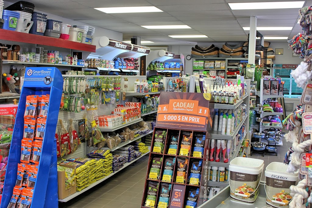 Animalerie LAmi Idéal | 768 Rue de St Jovite, Mont-Tremblant, QC J8E 3J8, Canada | Phone: (819) 425-2320
