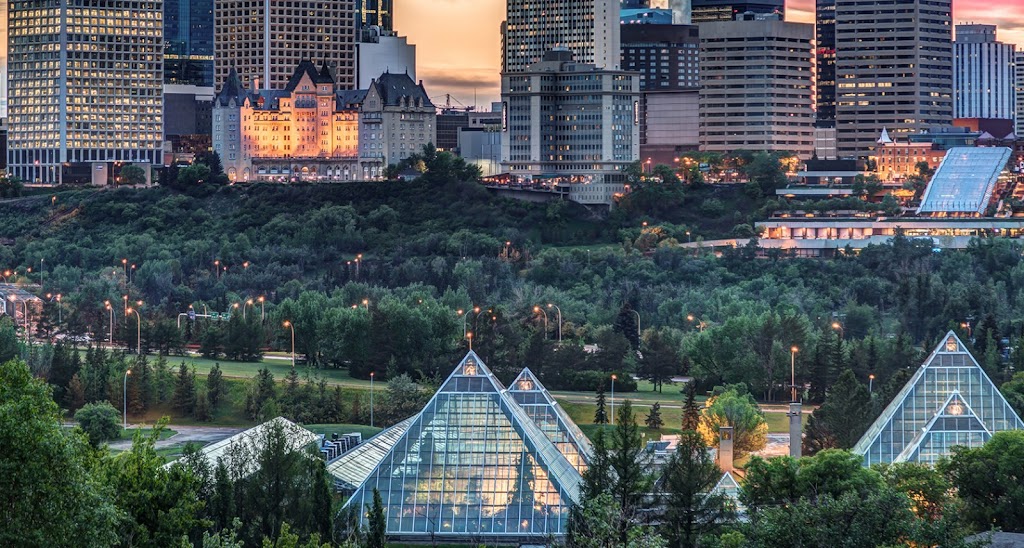 Tidy Services | 4523 103A Ave NW, Edmonton, AB T6A 0W2, Canada | Phone: (587) 400-2277