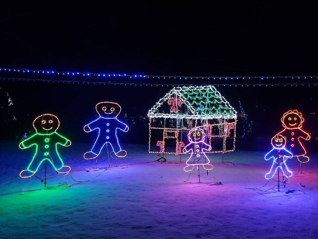 Lions Festival of Lights | 24th Avenue Northwest &, 14 St NW, Calgary, AB T2L 0R6, Canada | Phone: (403) 651-6689