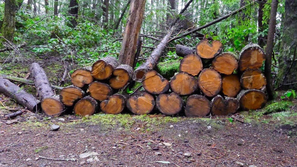 Whyte Lake Trail | West Vancouver, BC V0N 1G0, Canada | Phone: (604) 925-7275