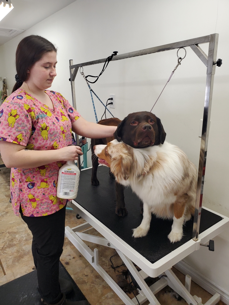 Friends Fur Life Dog & Cat Groomer | 495 Biesenthal Rd, Pembroke, ON K8A 6W7, Canada | Phone: (613) 732-5217