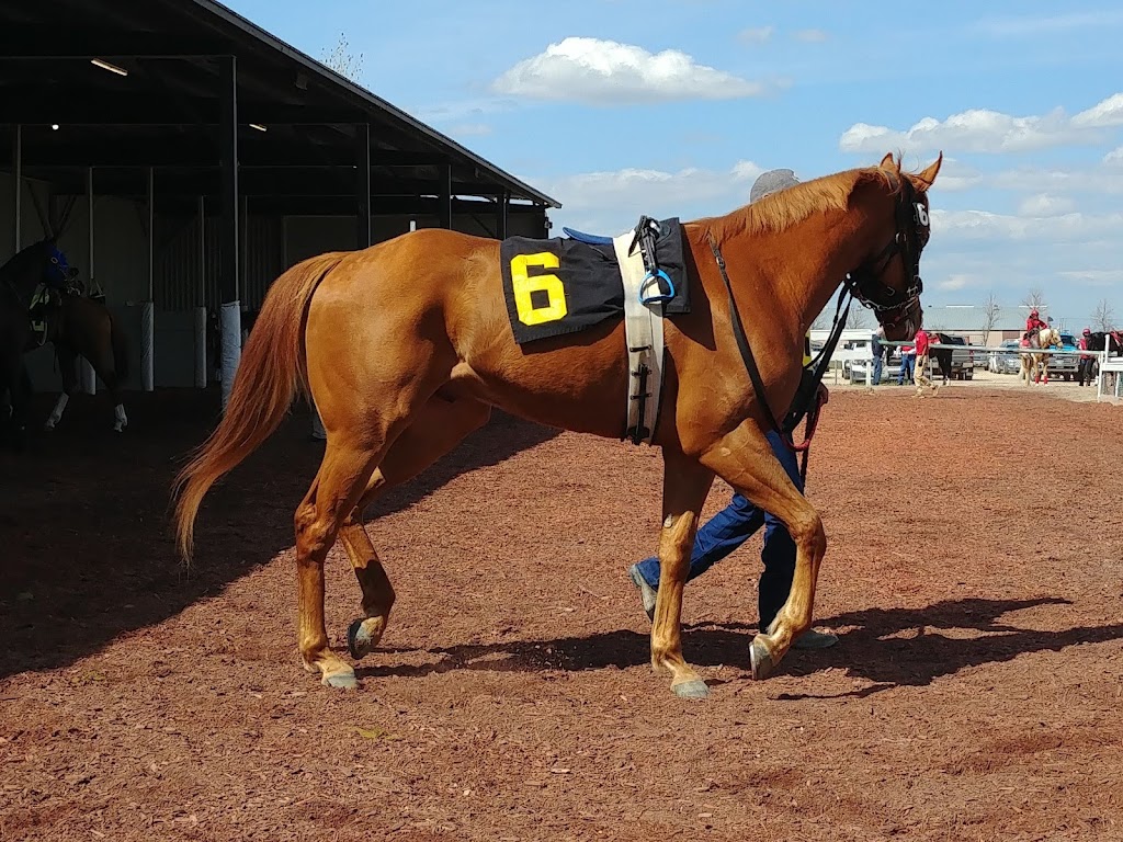 Assiniboia Downs | 3975 Portage Ave, Winnipeg, MB R3K 2E9, Canada | Phone: (204) 885-3330