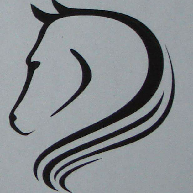 Coburn Equestrian | 315384 ON-6, Williamsford, ON N0H 2V0, Canada | Phone: (519) 387-7762