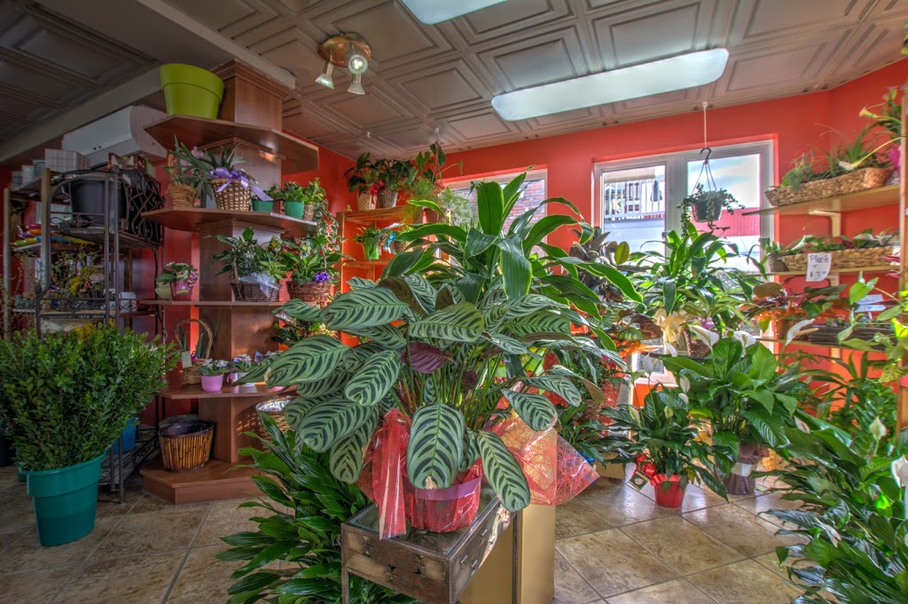 Fleuriste Lijenthem | 752 Rue du Conseil, Sherbrooke, QC J1G 1L2, Canada | Phone: (819) 562-6254