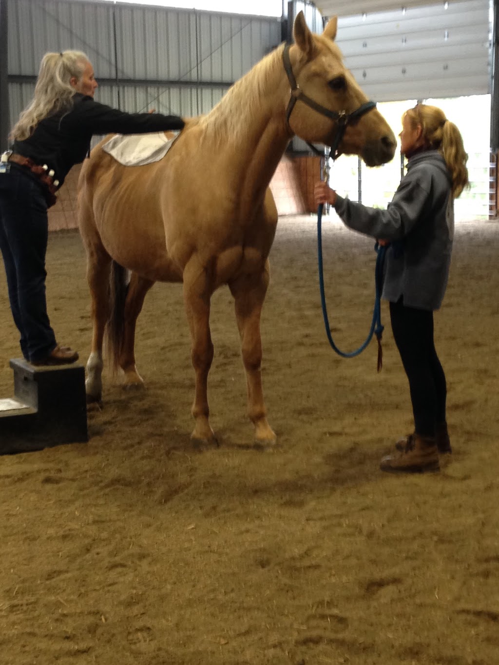Reining Hope AEAAT LLC and Reining Hope THP LTD a 501(c)3 Non-pr | 574 Sunset Dr, Morgan, VT 05853, USA | Phone: (802) 895-9166