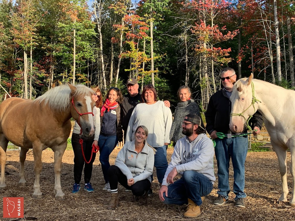 Wásábi Coaching | 1033 Chem. Tamaracouta #1021, Morin-Heights, QC J0R 1H0, Canada | Phone: (450) 340-0535