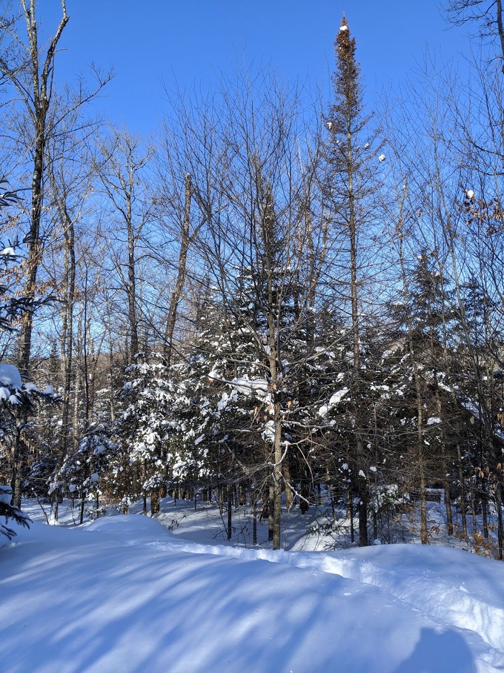 RCNT Chalets # 217 | 150 Chemin de la Fraternité, Lac-Supérieur, QC J0T 1P0, Canada | Phone: (844) 370-0257
