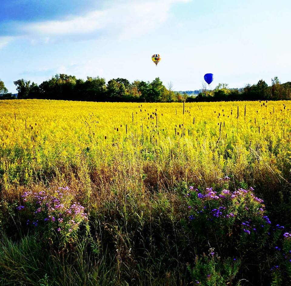 Sundance Balloons | 48 Crampton Dr, Belmont, ON N0L 1B0, Canada | Phone: (519) 473-6444