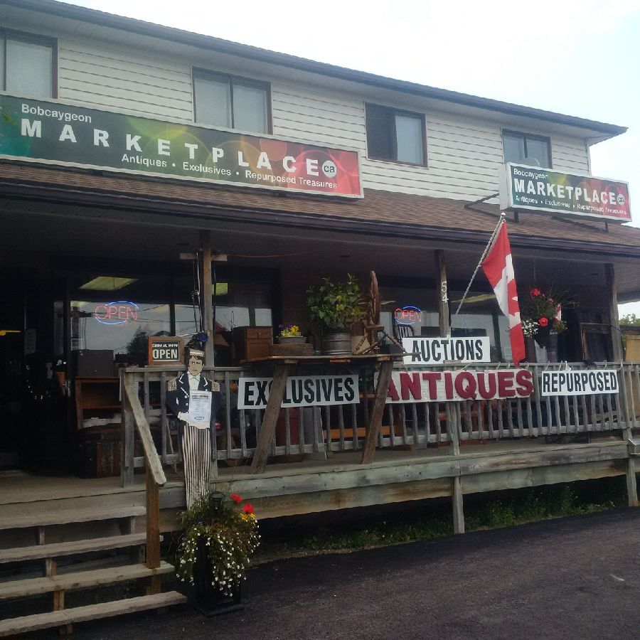 Bobcaygeon Auto Tech | 54 Anne St, Bobcaygeon, ON K0M 1A0, Canada | Phone: (705) 738-9888